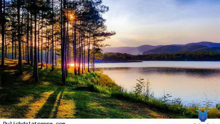 Nghiêng nghiêng rừng chiều