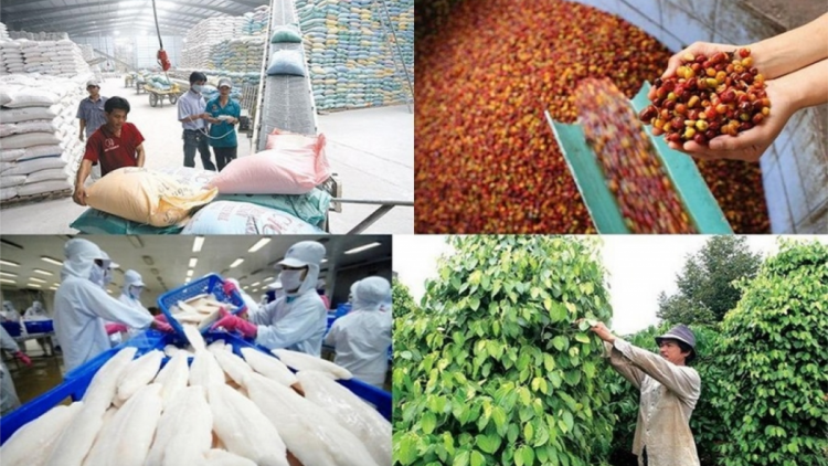 440 tỷ đồng zooi hợp tác xã pa dưr zr’lụ choh chr’noh chr’bếêt
