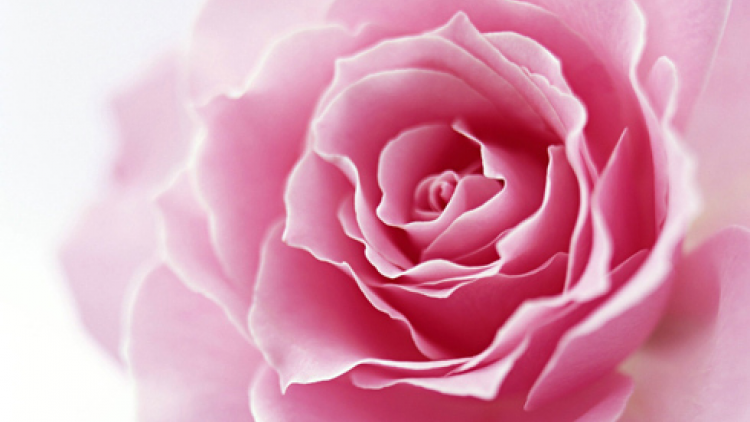 T’RUIH PA XUL T’NGAY 18 C’XÊÊ 11