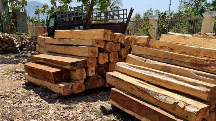 Gia Lai: K’nặ 120 tơơm n’loong ga măc coh crâng phòng hộ crêê ta col