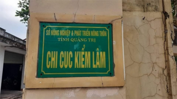 Kiểm lâm Quảng Trị ton ch’chơơr bhrợ t’vaih pay lâh 1 tỷ đồng ngân sách