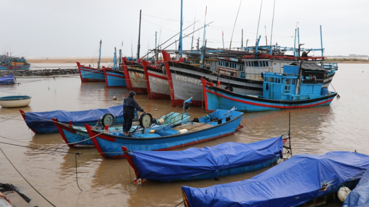Phú Yên, Bình Định hân đơơh đương zêl áp thấp nhiệt đới coh biển lâng bhrợ bhr’lâ râu bil hư tu boo đhí