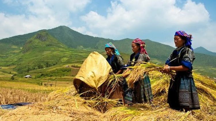 Thủ tướng Chính phủ đoọng bh’rợ xa nay bhrợ pa dưr pa xớc thương mại k’coong ch’ngai, k’noong k’tiếc lâng hải đảo cr’chăl c’moo 2021-2025