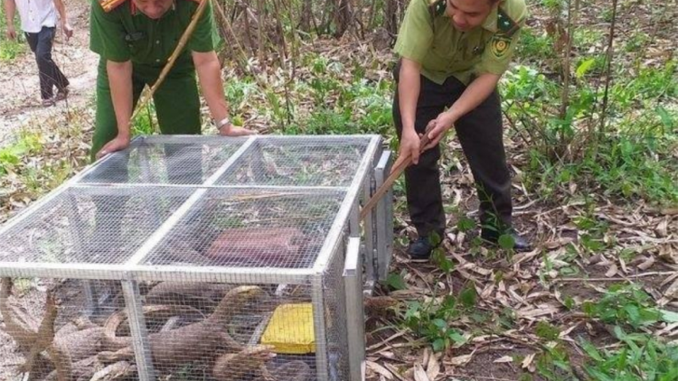 Đăk Nông tọom lâh 1 tỷ đồng 2 cha nắc pân đil tr’câl a đhăh dzăm chr’năp pr’hăt