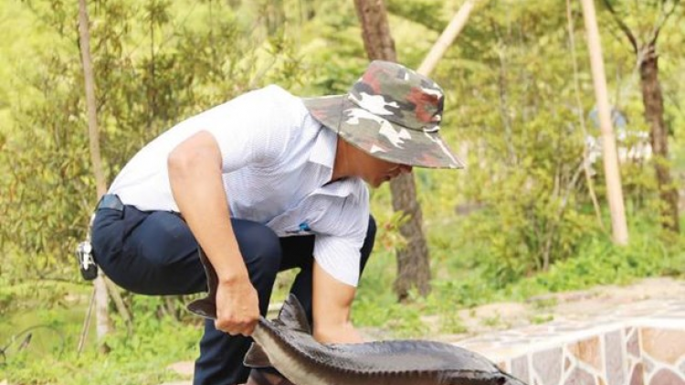 Băn axiu tầm- c’lâng pa dưr kinh tế t’mêê đoọng ha đhanuôr acoon coh da ding k’coong A Lưới, tỉnh Thừa Thiên Huế