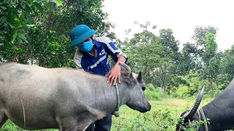 Bh’nơơn tợơ cr’nọo bh’rợ choh crâng pa zưm lâng băn bh’năn