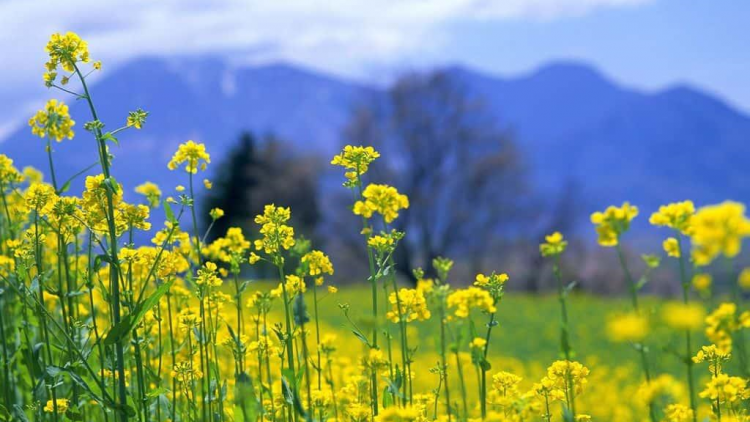 T'RUIH PA XUL T'NGAY 13/9/2021