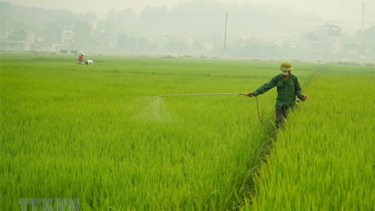 Bơơn lêy đấh, zêl cha groong g’rưy bhrợ pa hư hi la