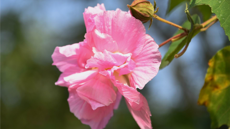 T'RUIH PA XUL T'NGAY 06/3/2021