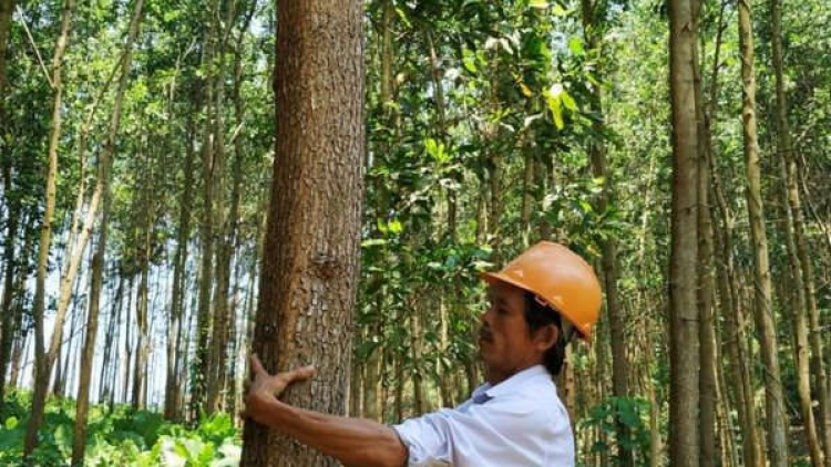 Ta mooh t’cooh Hồ Quang Minh, Phó Chủ tịch UBND chr’hoong Đông Giang, tỉnh Quảng Nam ooy bh’rợ choh crâng n’loong ga măc