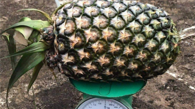 Pa dưr pa xớc pr’ắt tr’mung tơợ bh’rợ chóh chứa