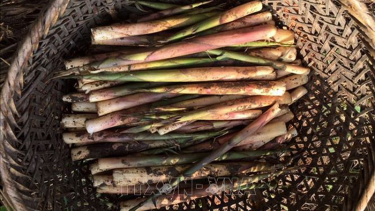 Pa dưr a băng vaih nắc tơơm chr’nắp liêm đoọng ta bil đha rựt đoọng ha đhanuôr zr’lụ da ding ca coong