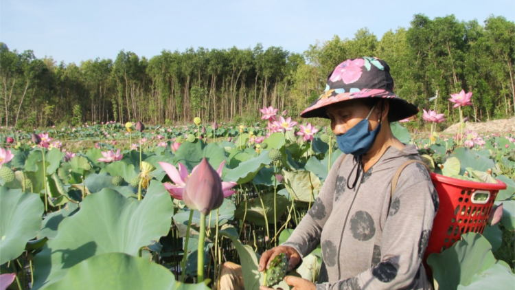 Choh sen coh k’tiếc choh ha roo đhanuôr bơơn bấc zên