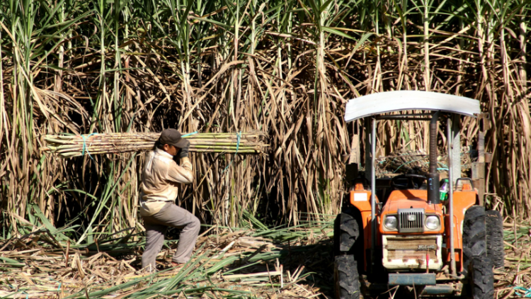 Manứih chóh a’tao lưm zr’nắh k’đhạp, Đà Nẵng chấc lêy đhị pa câl