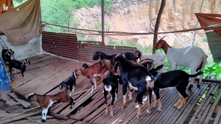 Liêm choom tơợ bh’rợ b’băn p’lóh cóh bhươn