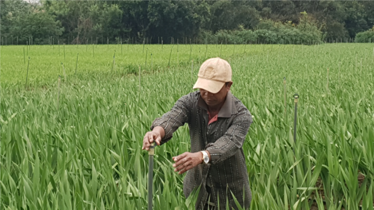 Manứih đảng viên liêm chr’nắp cóh vel K’long