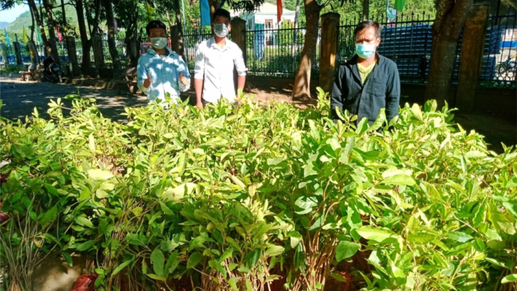 Chr’hoong Nam Giang, tỉnh Quảng Nam: Đoọng 8.500 m’ma tơơm xr’dang ha apêê ta đhâm c’mor chr’val Ca Dy