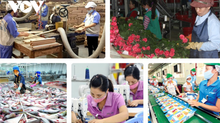 Ngành Nông nghiệp sơ kết 6 c’xêê tơợp c’moo