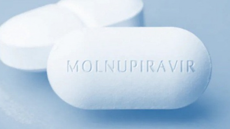 T’ngay 27/8, âng đơơng zanươu kháng virus Molnupiravir moót zư padứah F0 đhị cộng đồng