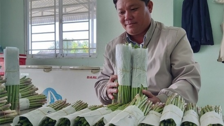 Ninh Thuận pa dưr c’rơ kinh tế hợp tác xã đhị zr’lụ đhanuôr Chăm