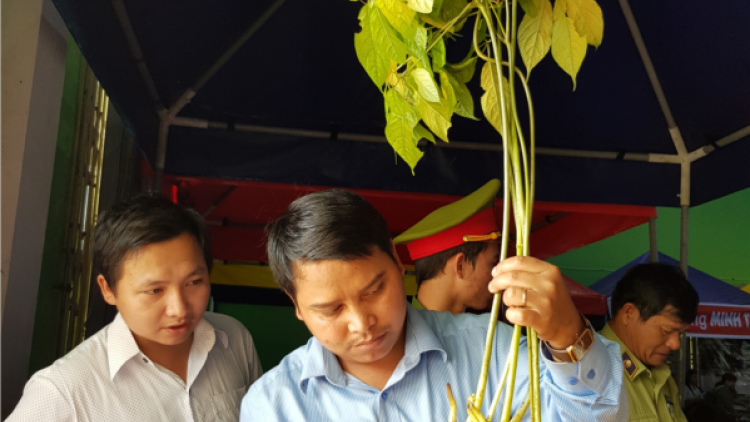 Quảng Nam ta đang moon Chính phủ đoọng xay bhrợ xa nay bh’rợ âng k’tiêc k’ruung pa dưr Sâm Ngọc Linh
