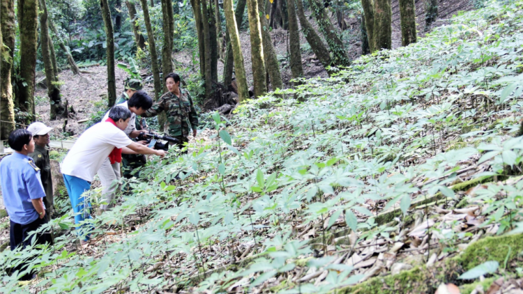 Zooi m’ma tơơm sâm đoọng ha đhanuôr
