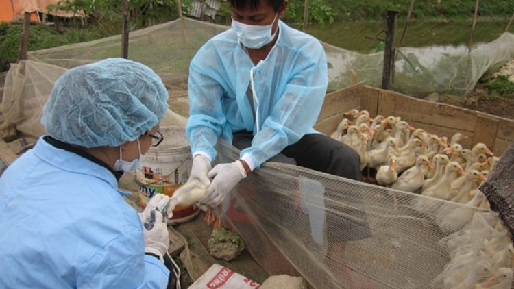 T’bhlầng c’rơ hapêê bhrợ têng đăh thú y zập cấp cr’chăl c’moo 2021-2030