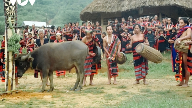 T’ruih pa xul p’rá Cơ Tu bhrợ t’bhưah zr’lụ pa xul tươc ooy đhanuôr coh zr’lụ ch’ngai bha dăh