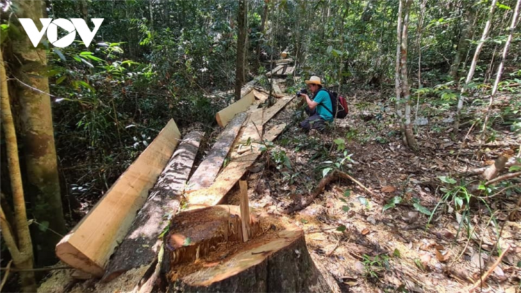 6 c’xêê tơợp c’moo, bơơn lêy lấh 2 r’bhâu tu bhiệc pa hư crâng