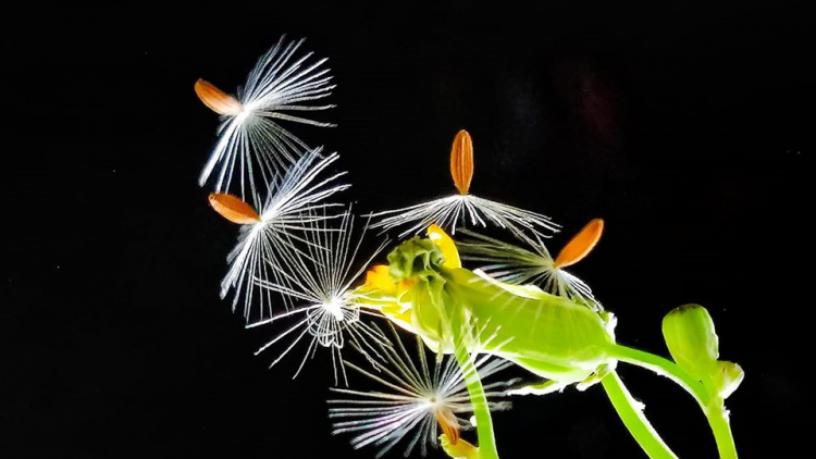 T'RUIH PA XƯL T'NGAY 23/9/2022