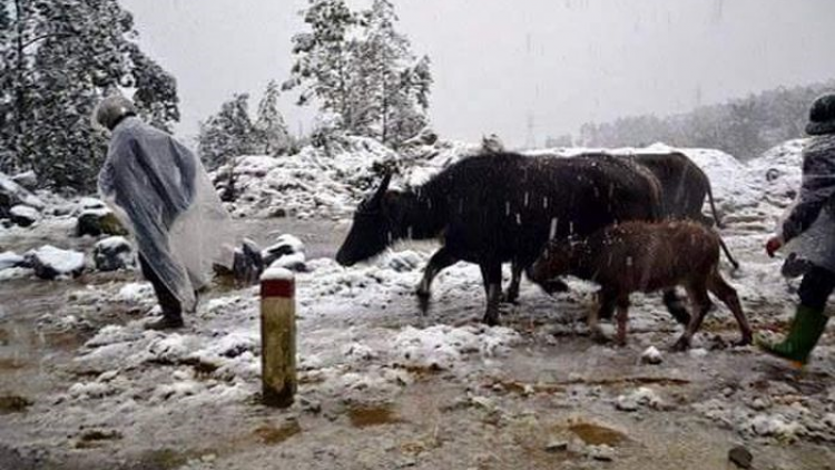 Lâh 4400 bh’năn băn dưr chệêt tu cha kệêt ra ngooh bhlầng