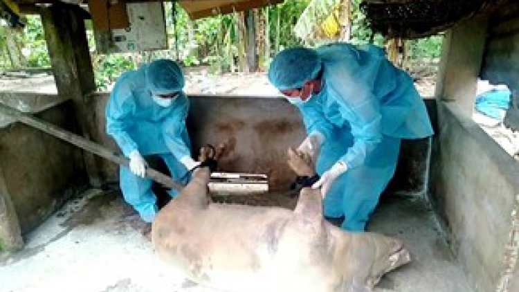 Quảng Nam bơơn zooi 10 r’bhầu lit za nươu zêl pr’luh cr’ay coh bh’năn băn