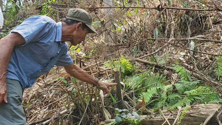 Col n’loong lêt xa nay coh crâng ta zư đơc đhị Thừa Thiên Huế