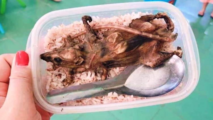 Bhiệc tọ ch’na cha vêy lêệ a’mọ ta moon âng học sinh k’coong ch’ngai Quảng Nam