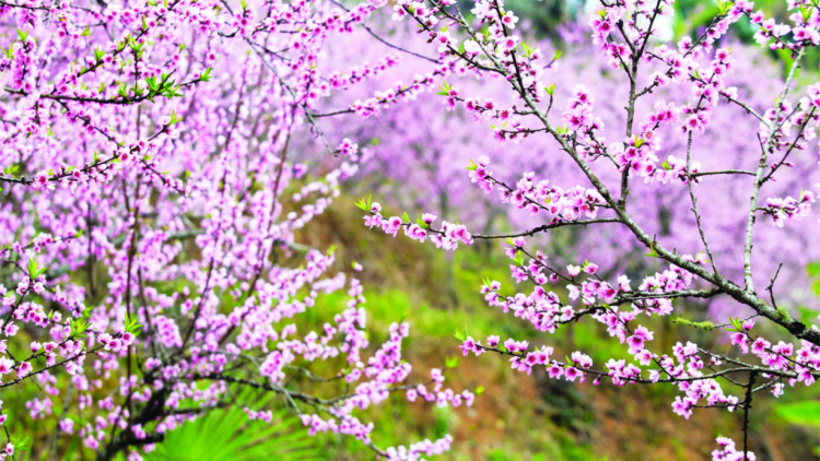 T'RUIH PA XUL T'NGAY 16-2-2022