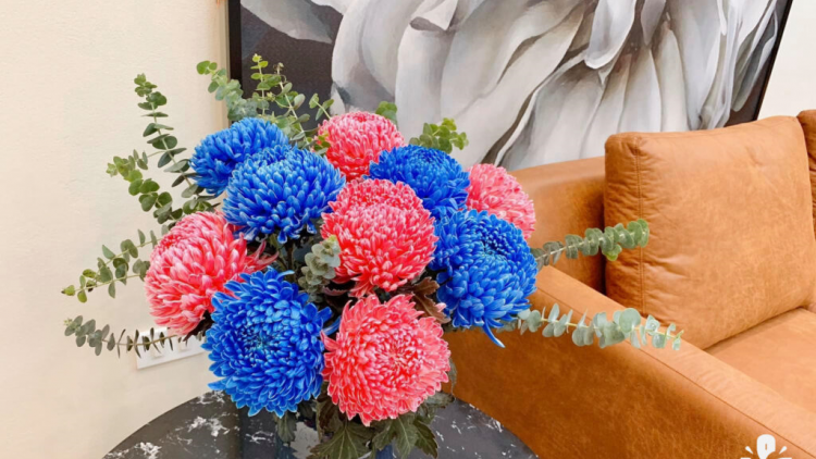 T'RUIH PA XUL T'NGAY 13-2-2022