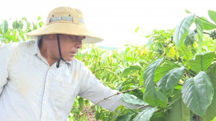 Pa dưr bh’rợ lươt l’lăm âng đảng viên ma nưih acoon coh