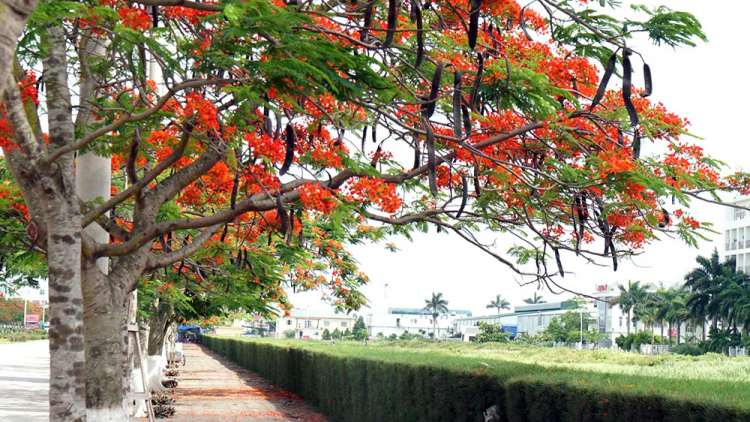 T'RUÍH PA XUL T'NGAY  10-7