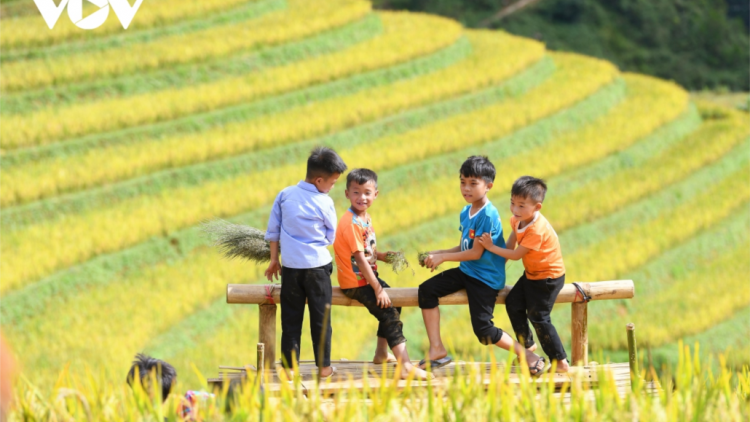 Liêm pr’hay ruộng chuôr Mù Cang Chải hân noo ha roo đọom