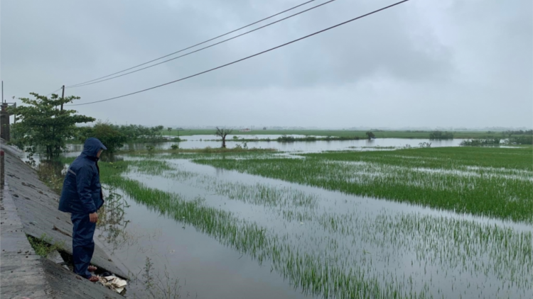 Apêê tỉnh miền Trung hân đơơh bhrợ bhr’lâ râu boo tuh đơc lơi