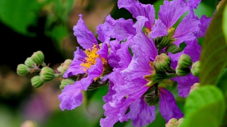 T'RUIH T'NGAY 13/9/2022