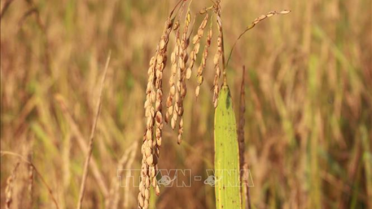 T'ruih thứ 5, t’ngay 24/2/2022