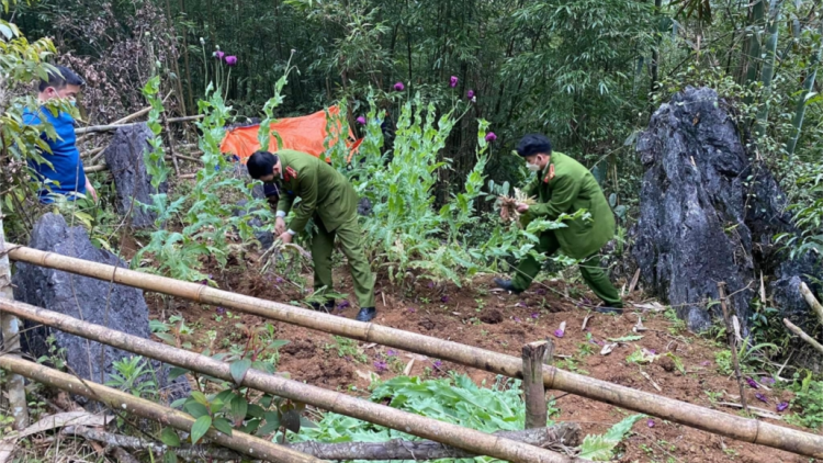 N’jộ lơi lâh 3.200 tơơm zơ nươu coh crâng g’mrâng