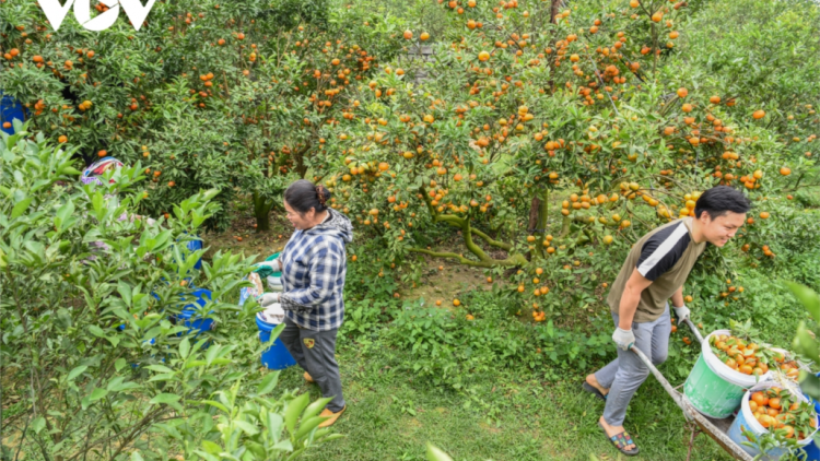 Tơơp bhrợ pa dưr zr’lụ choh bhrợ t’vaih bh’nơơn bơơn cr’noọ xa nay đơơng pa câl ooy k’tiêc k’ruung n’lơơng