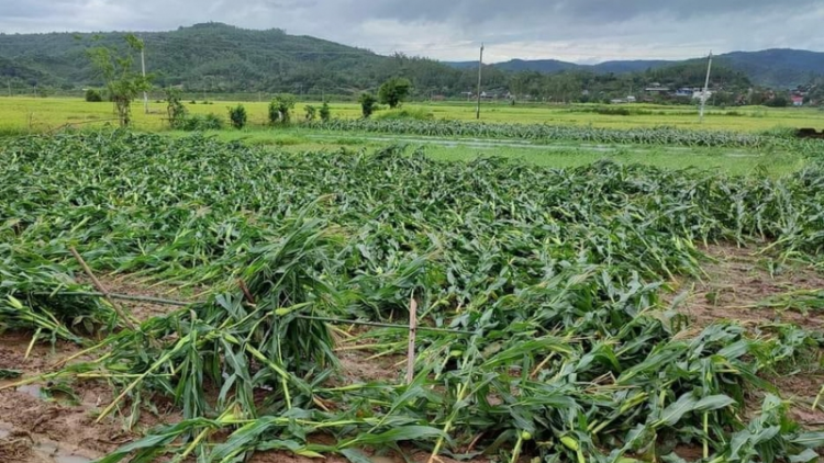 Quảng Bình: Bấc đhanuôr bil bal zêng coh hân noo cha noọng c’lọt, vel đong zooi choh bhrợ cớ