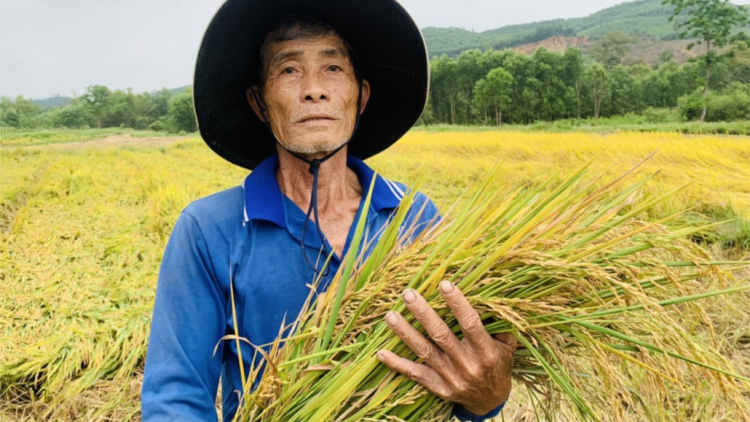 Quảng Nam: Ha roo ruộng đươi đác pleng vaih bâc bhlâng