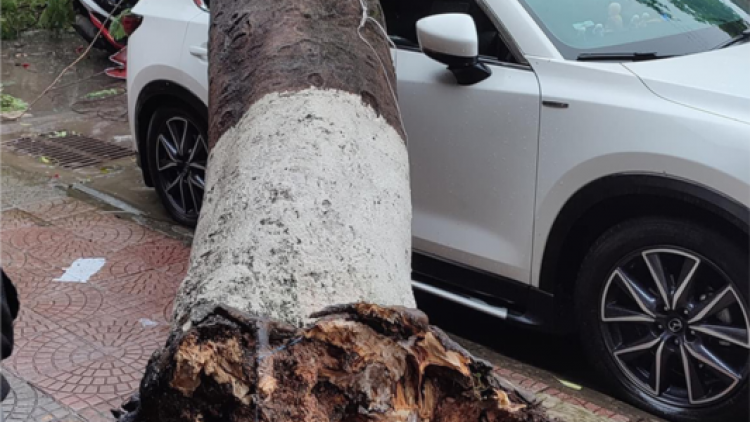 Chr’noh chr’bêêh miền Trung crêê nong lit tu boo ngân