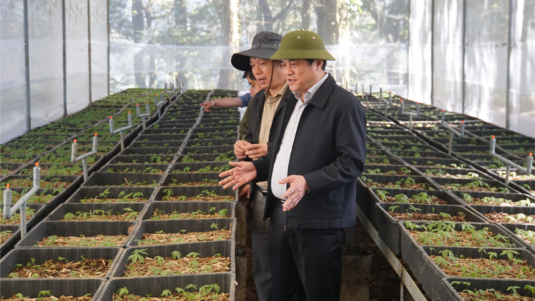 Quảng Nam: Quy hoạch lâh 15.500 ha zr’lụ zư đơc lâng pa dưr sâm Ngọc Linh