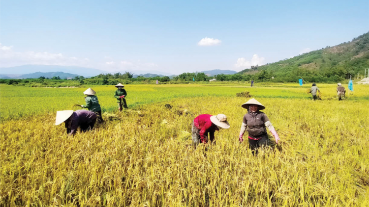 Alưới – Thừa Thiên Huế: Zư đơc hân noo chr’noh chr’bêêt, cr’van đhị văr cuôi, đhr’năng plêêng k’tiêc căh liêm