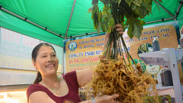 K’đươi bhrợ g’lúh thi xrặ ooy tơơm zanươu, k’tiếc lâng manứih Nam Trà My